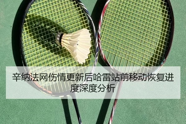 辛纳法网伤情更新后哈雷站前移动恢复进度深度分析